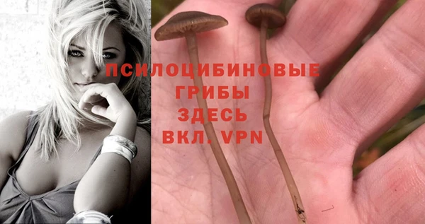 кокаин VHQ Алексеевка
