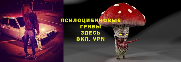 дживик Абаза