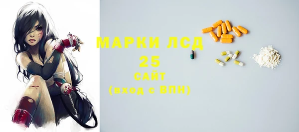 стафф Алзамай