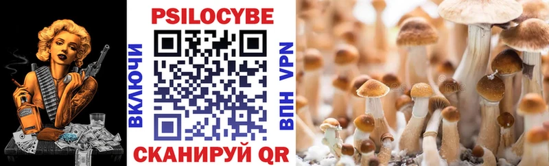 Псилоцибиновые грибы Psilocybe Дятьково