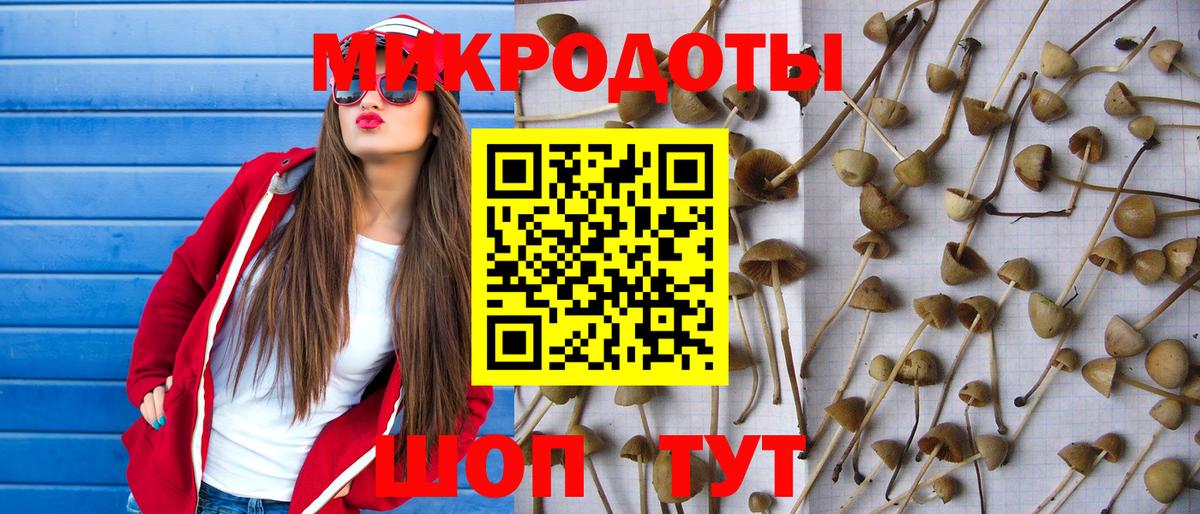 Дятьково  Галлюциногенные грибы Magic Shrooms  Вход с VPN 